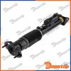 Amortisseur de suspension arrière pour MERCEDES | A-ME-015, 1643202031